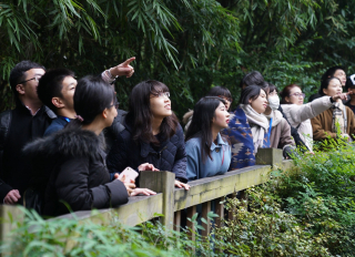 成都ジャイアントパンダ繁殖研究基地を見学する訪中団